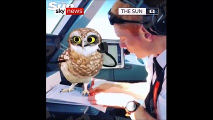 Quand des pilotes de ligne s'amusent avec Snapchat en vol : suspendus direct