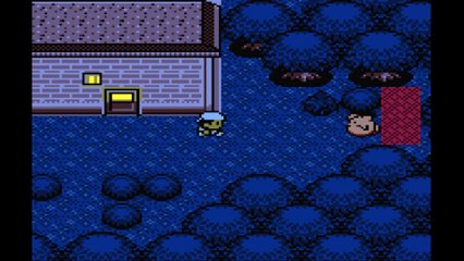 Madness Plays | Pokemon Prism Part 12: No Humans Allowed