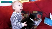 MOST Crazy Cats Annoying Babies, If You Laugh You Lose Challenge -  Funny Cats Compilation 2018