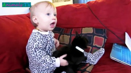 MOST Crazy Cats Annoying Babies, If You Laugh You Lose Challenge -  Funny Cats Compilation 2018