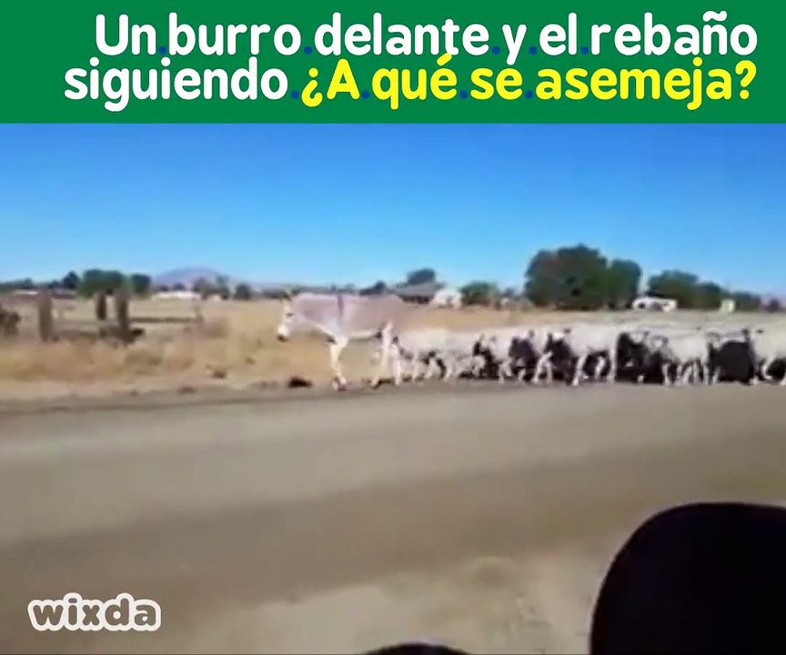 A qué nos recuerda esto