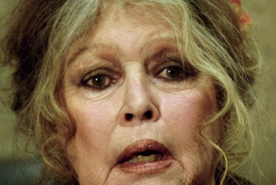 La nouvelle lettre assassine de Brigitte Bardot à Nicolas Hulot