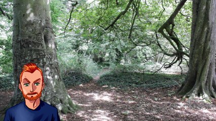 Planting The Seed of Freedom