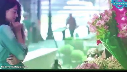8 February - Propose Day Special Whatsapp Status Video 2018  Valentine's Day Special Video