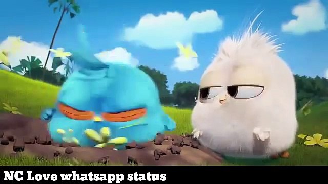 Valentine propose Funny love animated watsapp status valentines special 2018 NC Love whatsapp s