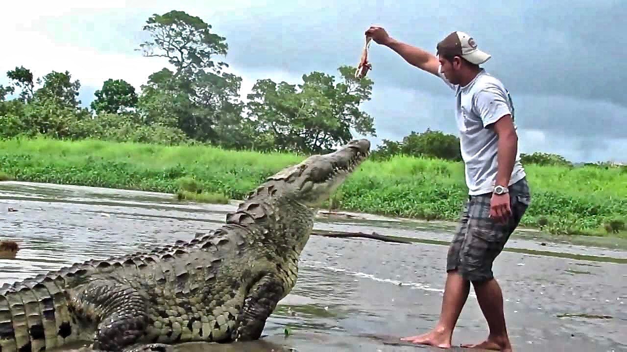 MAN AND BEAST Compilation - Part 6