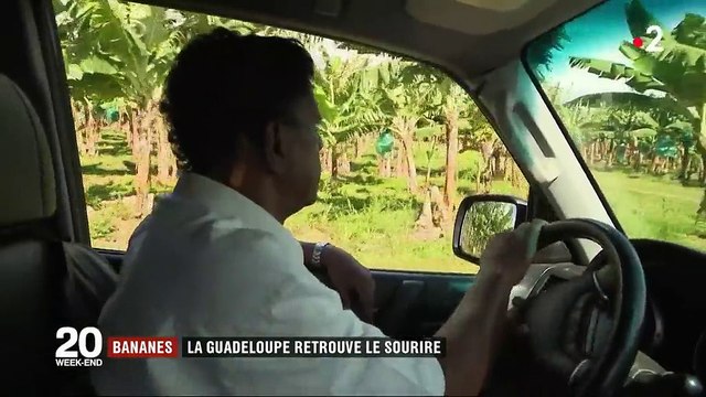 Bananes : la Guadeloupe retrouve le sourire