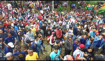 NEW PALLAPA ,KUNANG-KUNANG RIA MUSTIKA