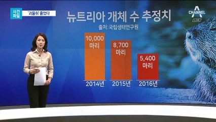 [사건파일]‘괴물쥐’ 뉴트리아 개체수 하락…이유는?