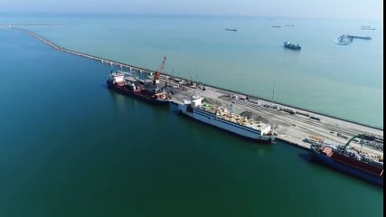 İthal Hayvan Gemisi Brezilya'dan Samsun'a Geldi, Şehri Kötü Koku Kapladı