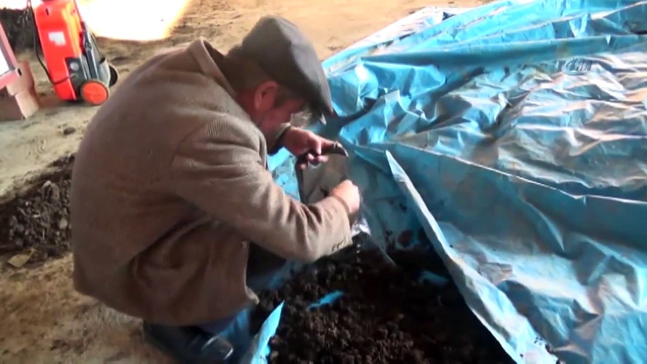 Solucan Gübresi: Amerika’dan 5 Bin Solucan Getirdi, 1 Milyon Üretti