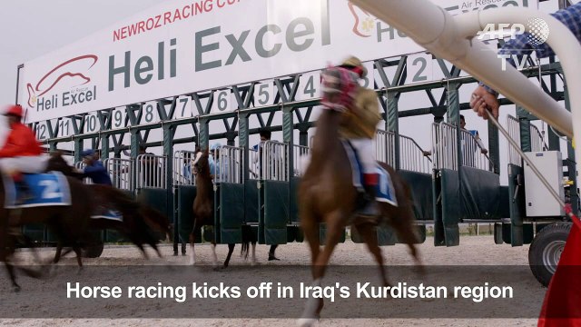 Horse race brings together jockeys from all over Iraq