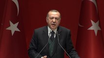 أردوغان يرفض وساطة فرنسية مع قوات روسيا الديمقراطية