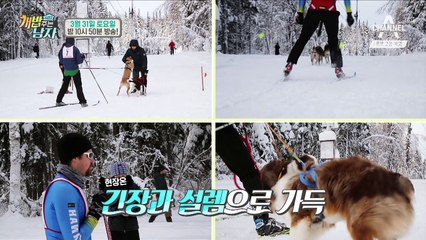 [예고] 뚜이와 최현석의 알래스카 원정대  마지막 이야기!