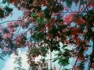 Amar Swapna Tumi Ogo || Anand Ashram  Bengali Movie Song || Uttam Kumar & Sharmila Tagore