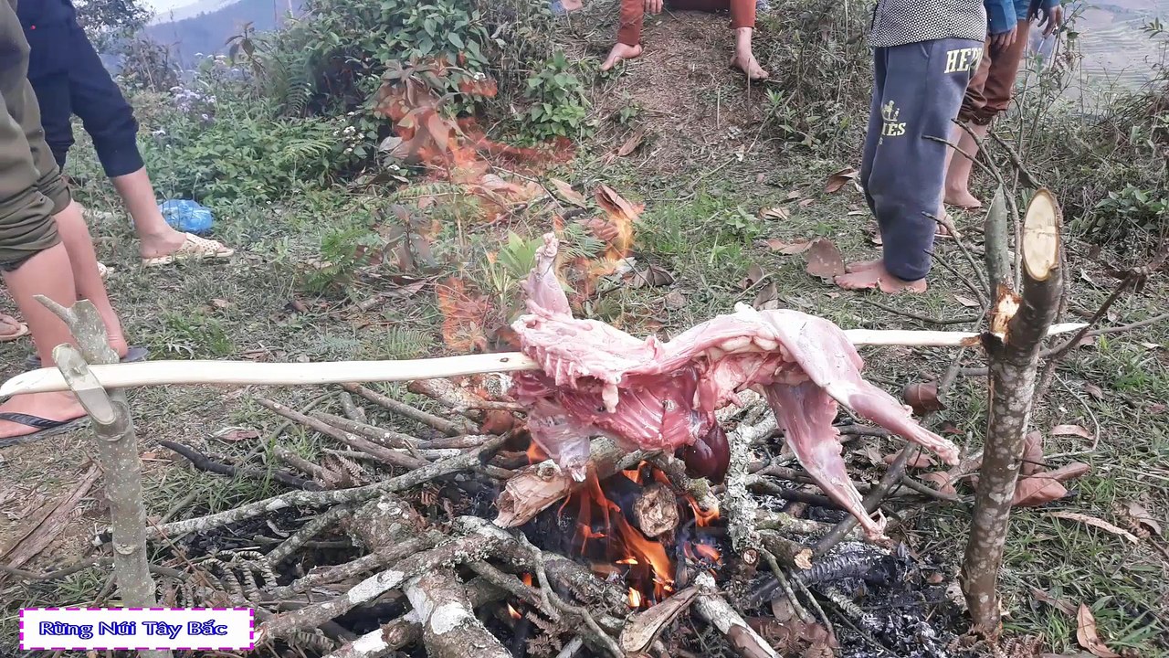 Được Mời Đi Nướng Thịt Mèo Ngon Không Thể Tả Nổi