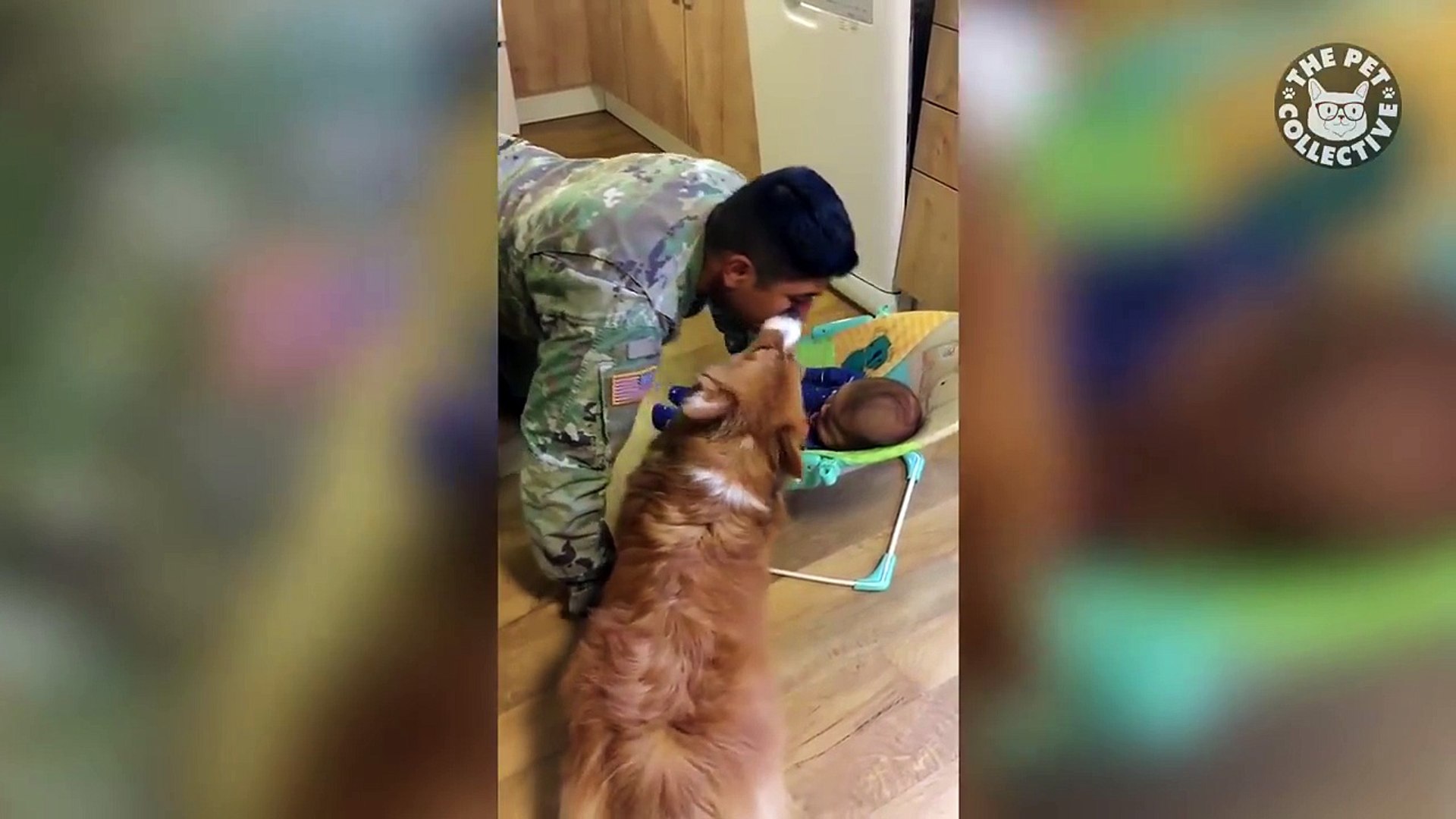 ⁣14 Funny Pets - Awesome Pet Video Compilation 2018 (1)