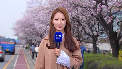[날씨] 봄기운 완연한 주말...미세먼지 차차 해소 / YTN