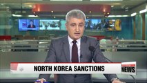 UN Security Council blacklists dozens of ships, businesses over North Korea smuggling