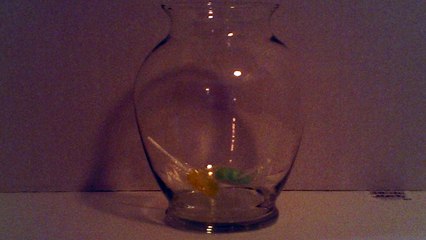 56. CANDY CANDY CANDY.