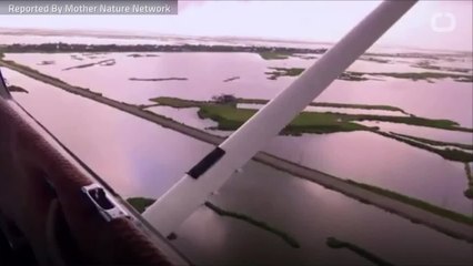 Why American Hot Sauce Is Under Threat