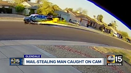 Man caught on camera stealing mail in Glendale