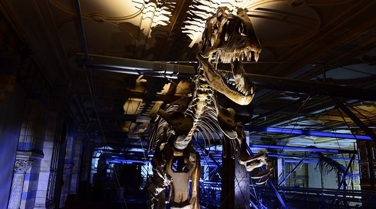 Making David Attenborough's Natural History Museum Alive (2014)