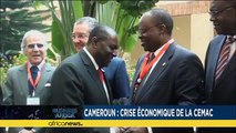 Central bank of central african states  adopts measures to assist member countries