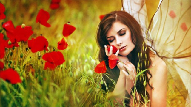 Zülfü Livaneli - Eğil Salkım Söğüt Eğil