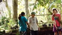 Generation Bambus - Balis 