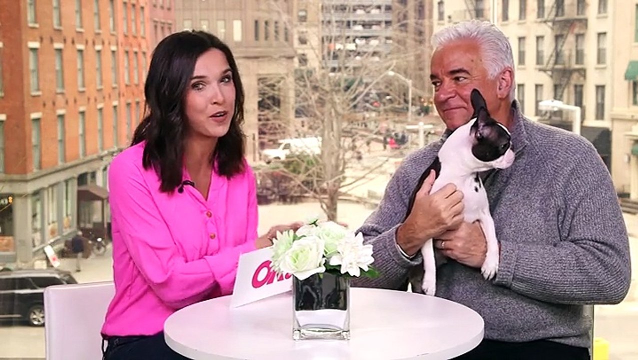 Star-Studded Performance! Inside The Celebrity Packed Beverly Hills Dog Show