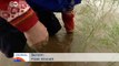 Hochwasser verdirbt die Spargel-Ernte | Journal