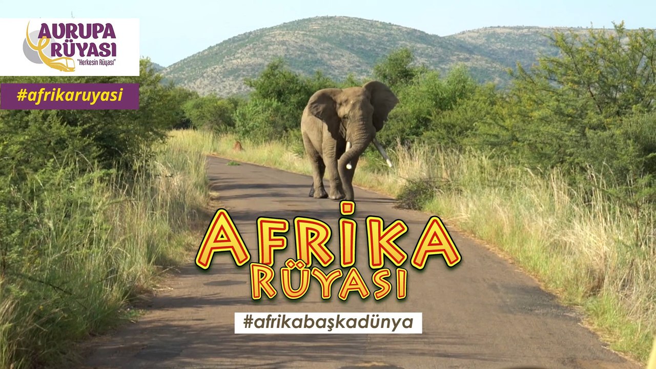 Güney Afrika'da Safari Turu AFRİKA RÜYASI