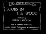 Harry Langdon: Boobs In the Woods (1925)