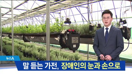 장애인의 눈과 손이 된 ‘따뜻한 AI’ 생활 속으로