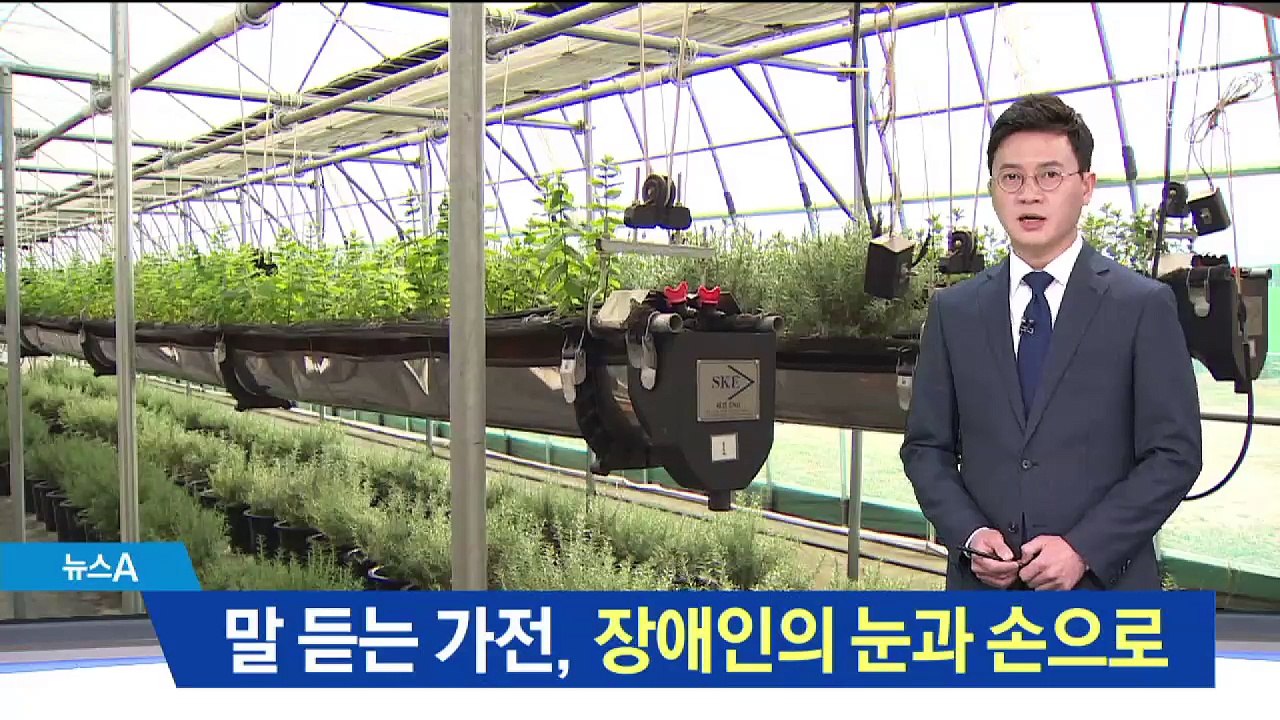 장애인의 눈과 손이 된 ‘따뜻한 AI’ 생활 속으로
