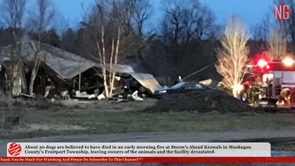 Fire Engulfs Boarding Kennel, 30 Dogs Are Feared Dead