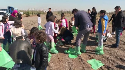 Afrin şehitleri için fidan diktiler - ANKARA