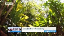 Schutz für Wälder und Arten in Costa Rica | Global Ideas