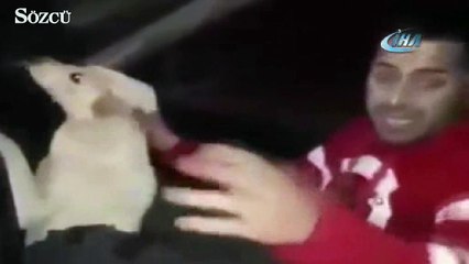 Köpeği vahşice yumruklayanlar tutuklandı