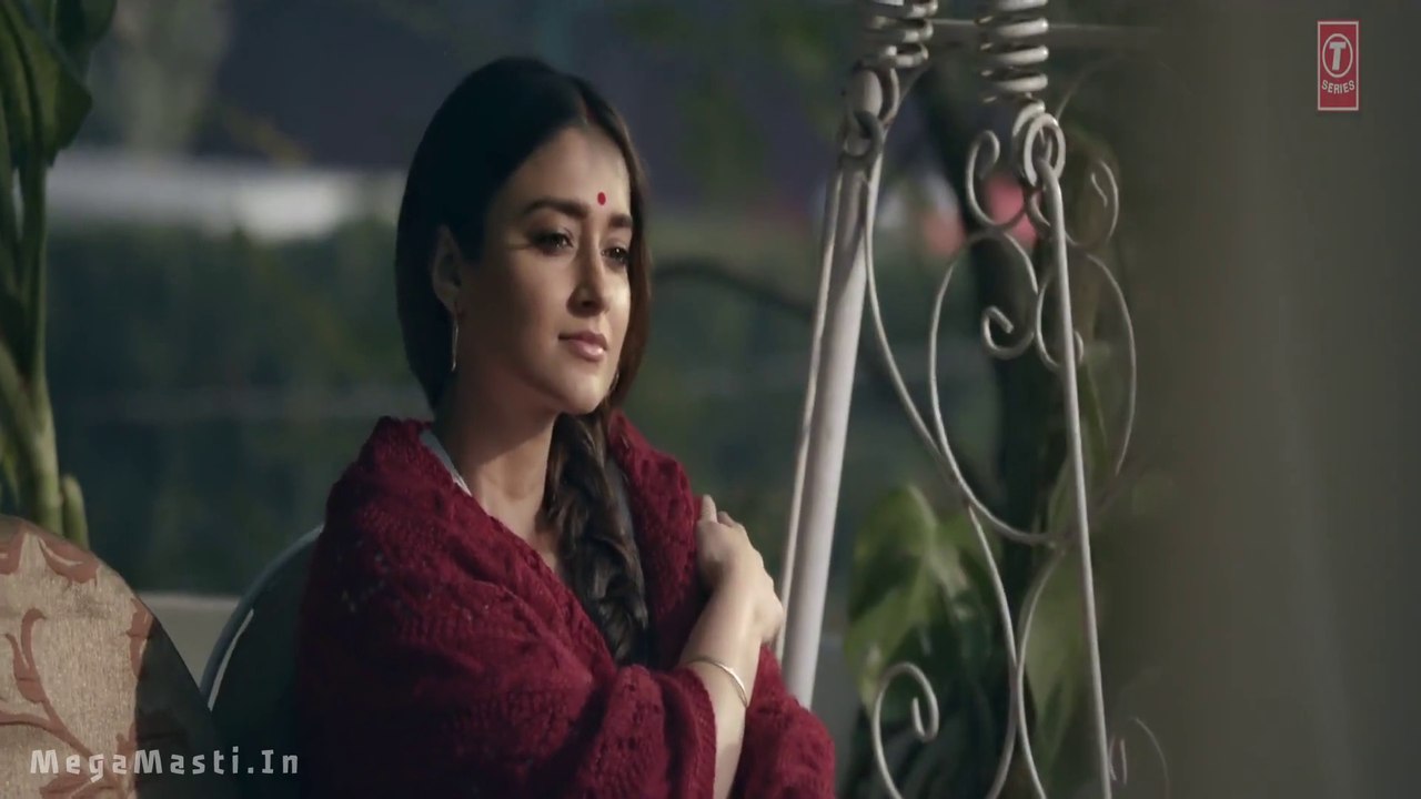 Sanu Ek Pal Chain  full song Raid movie