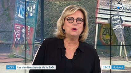 NDDL : les dernières heures de la ZAD