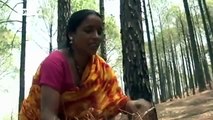 Biomasse-Briketts in Indien sorgen für saubere Luft | Global 3000