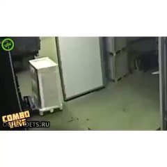 Over Loaded... fail FAIL fail