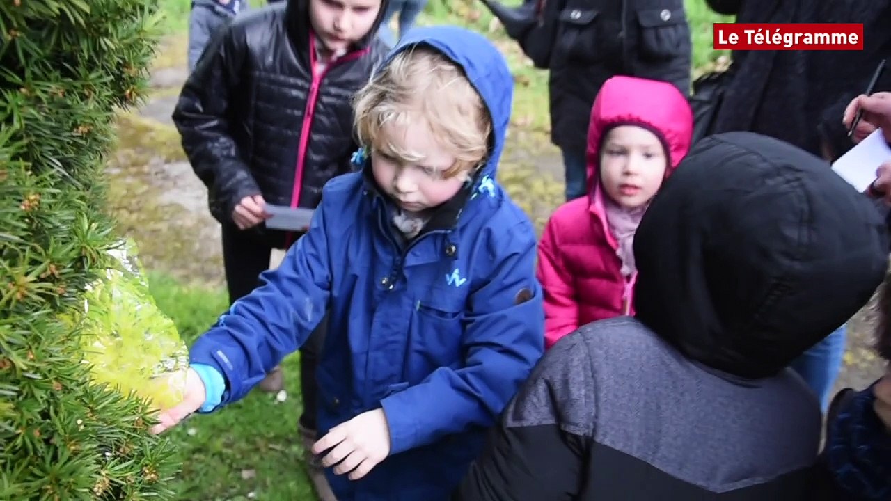 Quimperlé. Près de 300 chasseurs d’œufs à Kéjégu