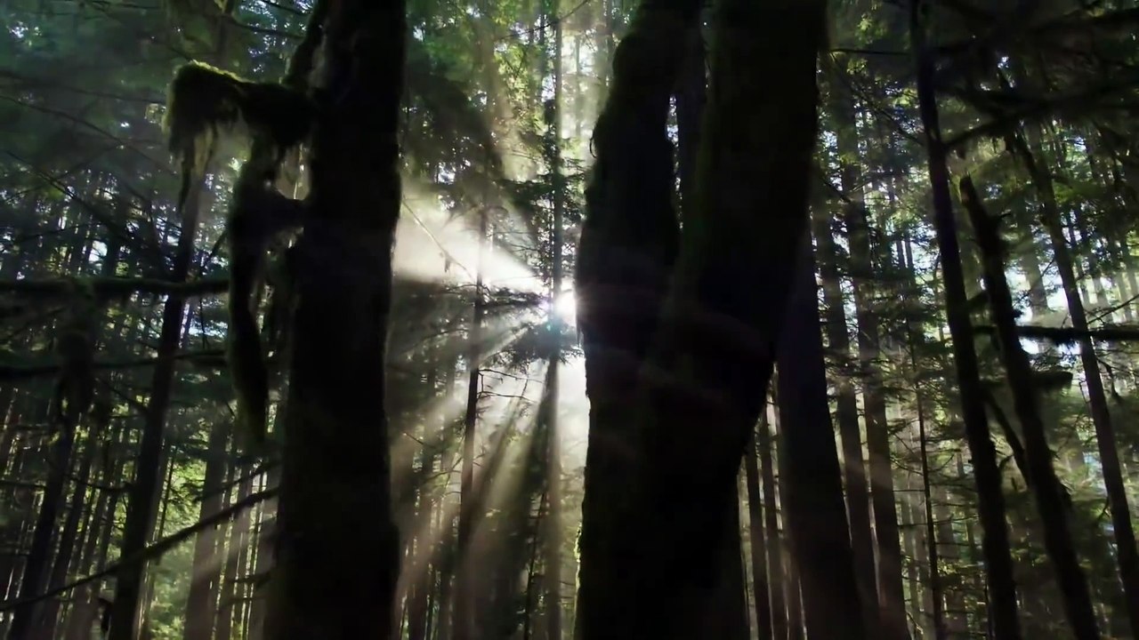 The 100 Saison  5 - Bande annonce