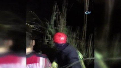 Nehre düşen otomobilin tavanına çıkarak hayatta kaldı