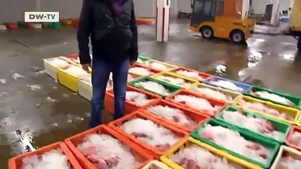 Die Empfehlung - drei Reisetipps für Bremerhaven | hin & weg