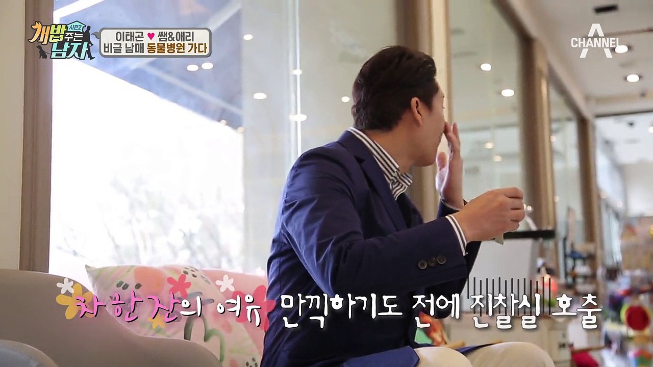 동물병원에 간 비글 남매, 전과범 쌤의 발가락이 수상하다?