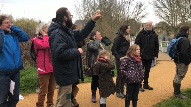 Reconnaître les oiseaux par leur chant
